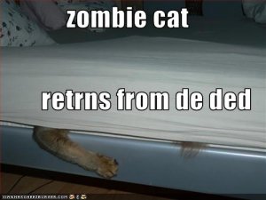 zombiecat.jpg