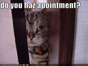 appointment.jpg