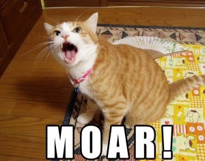 moarcat.jpg