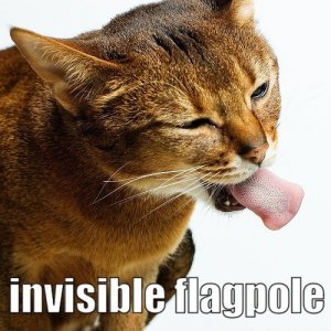 flagpole.jpg