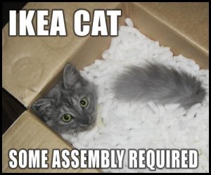 ikeacat.jpg