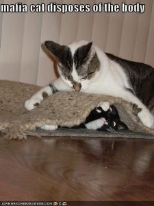 mafiacat.jpg
