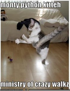 montypythonkitty.jpg
