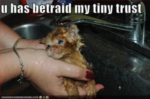 tinytrustbetrayal55.jpg