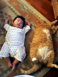 catnbaby.jpg