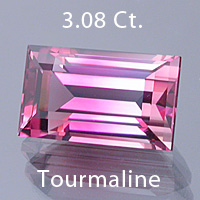 dspinkt.jpg
