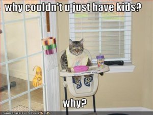lolcatswhynotkids.jpg