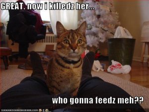 lolcatswhosgonnafeedme.jpg