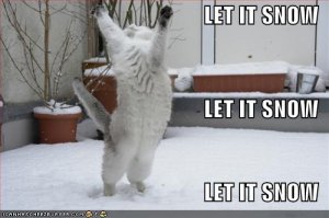 lolcatsletitsnow.jpg
