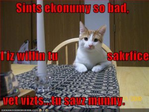lolcatseconomy.jpg
