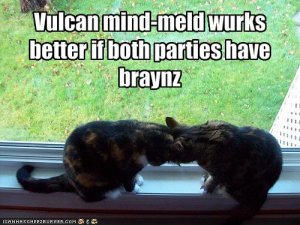 lolcatsvulcanmindmeld.jpg