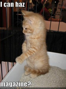 lolcatsneedsmagazine.jpg