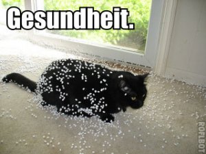 gesundheit.jpg