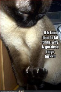 lolcatsclaws.jpg