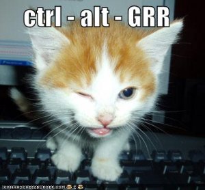 lolcatsctrl-alt-grr.jpg