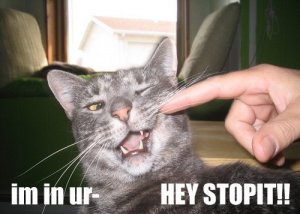 iminur_heystopit.jpg