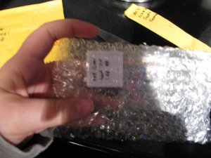 IMG_3291 freke.jpg