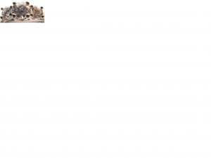 topofringinbox6.JPG