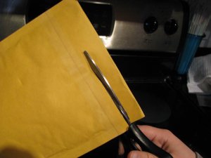 IMG_3289 freke.jpg