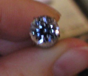IMG_3331 freke.jpg
