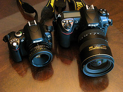 497203964_f3033fe68f_m.jpg