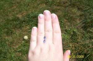 100_13081.jpg