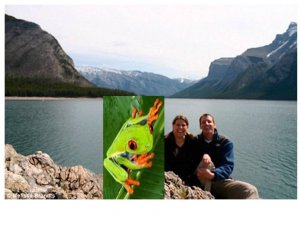 Tree frog comes to Canada.jpg