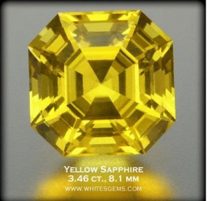 whitesgemyellowsaph1091.JPG