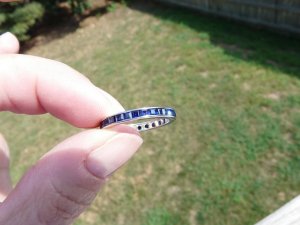 sappband5.jpg sappband5.jpg