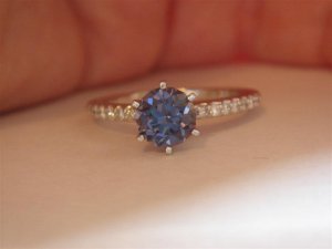 DSC05032 (Medium).JPG