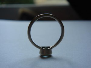 DSC05041 (Medium).JPG