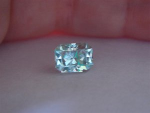 DSC05095 (Medium).JPG