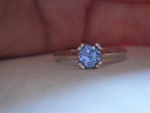 DSC05014 (Medium).JPG