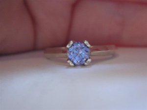 DSC05015 (Medium).JPG