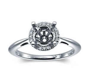 cirque ring.jpg