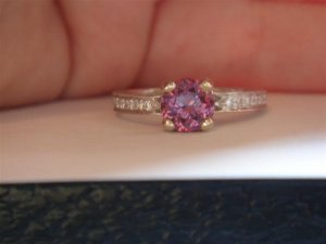 DSC05010 (Medium).JPG