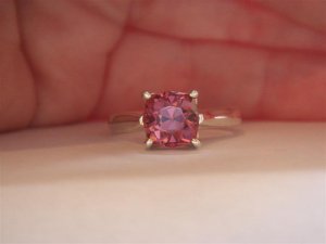 DSC05030 (Medium).JPG