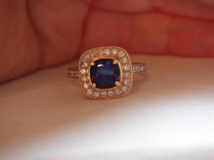 DSC05036 (Medium).JPG