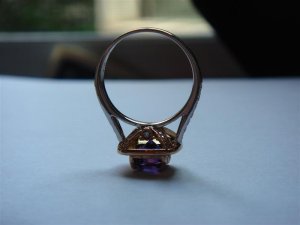 DSC05038 (Medium).JPG