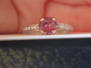 DSC05009 (Medium).JPG