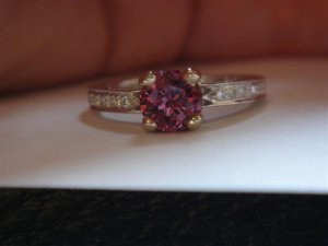 DSC05013 (Medium).JPG