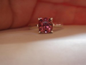 DSC05023 (Medium).JPG