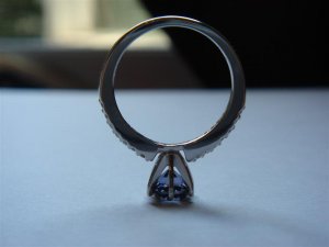 DSC05035 (Medium).JPG