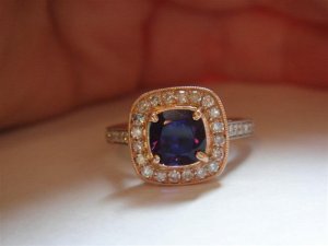 DSC05040 (Medium).JPG