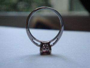 DSC05046 (Medium).JPG