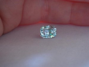 DSC05087 (Medium).JPG