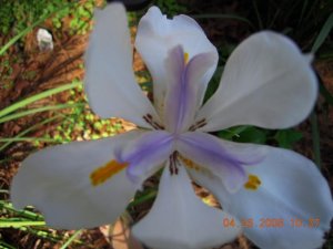xDSCN0368.jpg