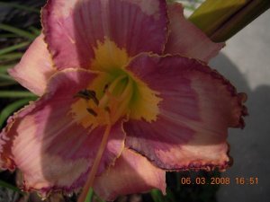 xDSCN0546.jpg