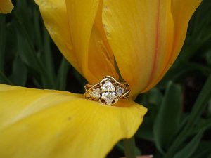 LongwoodRing TulipYel.jpg