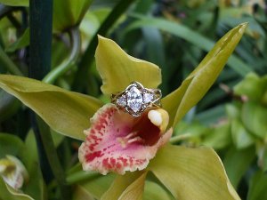 LongwoodRing 027.jpg